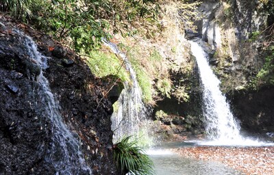 Jinba Falls: Crystal Clear Fuji Water