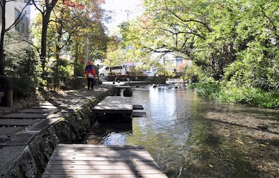 Mishima: A Stroll down the Genbe River