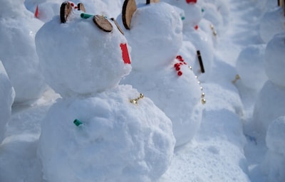 3 Very Japanese Snow Creatures