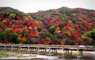 The 20 Most Romantic Date Spots in Kyoto