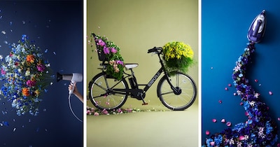 The Blooming Beauty of Everyday Objects