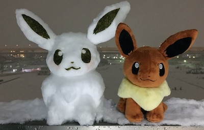 Do You Wanna Build a Snow Pokemon?