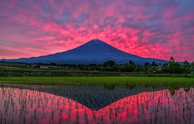 The Natural Beauty of 'Satoyama'