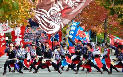 오감으로 즐기는 "드림 요사코이 축제"