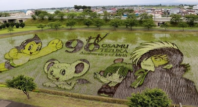 Rice Paddy Art Celebrates Manga Legend