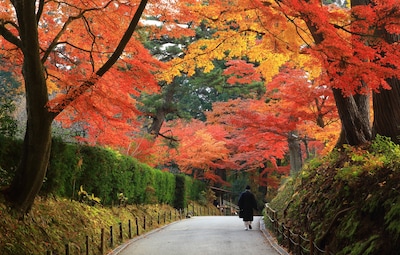 日本世界文化遺產巡禮「能量景點篇」