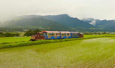 A Train That Conveys the Spirit of Recovery