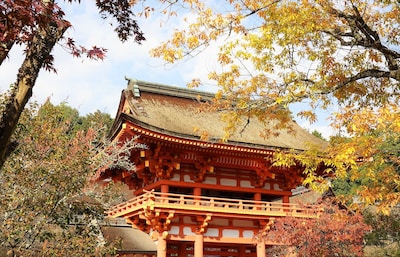 【京都自由行】參拜能量景點「上賀茂神社」再逛市集！追楓者別錯過～秋季御守限定販售中！