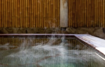 Top 10 Onsen in Tokyo