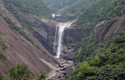 เดินป่าญี่ปุ่นที่เกาะยาคุชิมะ (Yakushima)