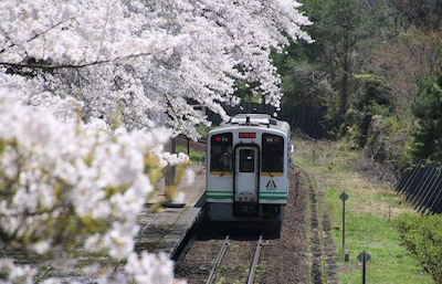 Connecting the City with Nature in Aizu