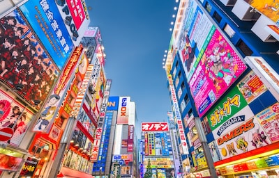 Step Inside One of Akihabara's Weirdest Shops