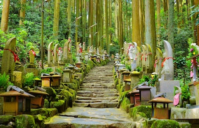 Five Secret Spots in Nara You HAVE to Visit