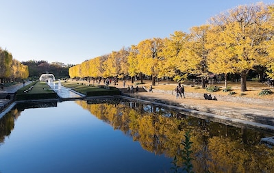 Top 10 Autumn Leaves Spots in Tokyo