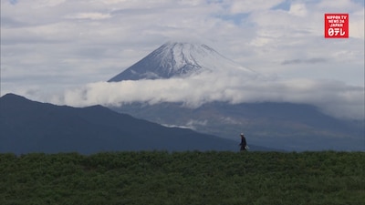 Mount Fuji Sports First Snow Cap of the Season