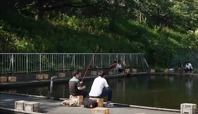 Fish Your Own Carp or Goldfish in Shinjuku