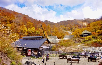 美食美景還有美人湯 秋田賞楓秘境「黑湯溫泉」半日遊