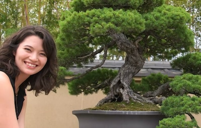 See 1000-Year-Old Bonsai at Omiya Art Museum