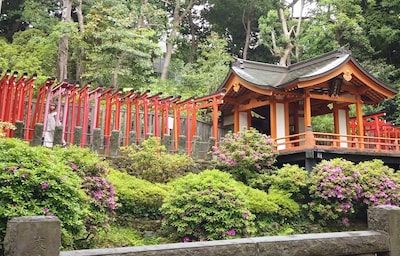 Nezu Shrine: 600 Years of Beauty & History