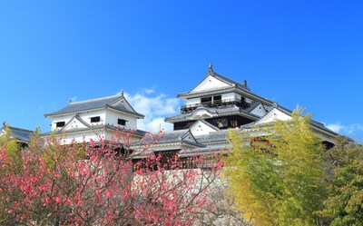 【爱媛】日本百选名城“松山城”美景！还有柑橘王国的人气必尝甜点推荐！