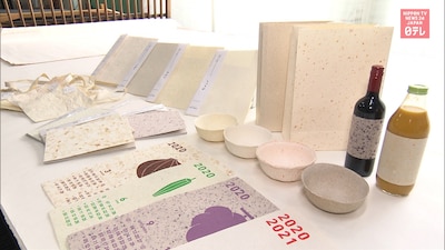 Making Japanese Washi Paper from Food Waste