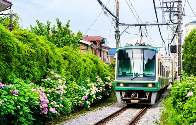 日本梅雨季：寻访雨中真绝景 遍赏寺院紫阳花（初夏镰仓旅游攻略）