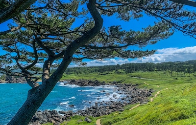 Walk Tohoku's Historic Michinoku Coastal Trail