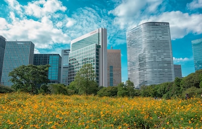 Fall Flowers in Full Bloom in Hamarikyu Garden