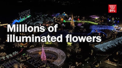 Ashikaga Flower Park Shines in Winter