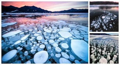 Ice Bubble Phenomenon Photographed in Hokkaido