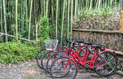 8 Bike Tours in Kyoto