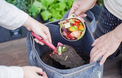 From Rubbish to Resource: Recycling Food