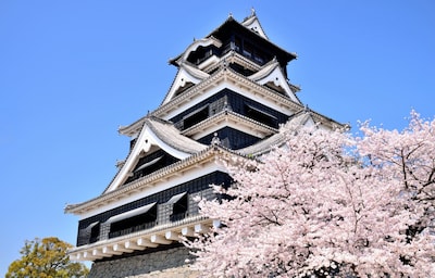 熊本县：樱花季旅行攻略——浪漫日本九州“上天下海”之旅