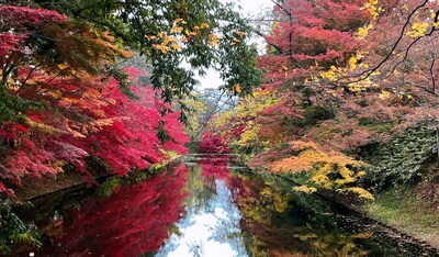 日本自由行：每一张都是绝景！记录青森秋色的“慢”游记