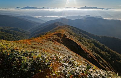 秋日自由行：看苍茫大地心旷神怡！徒步游日本尾濑国立公园攻略