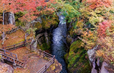 The Road Less Traveled in Tohoku