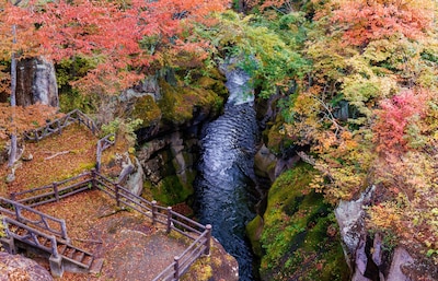 日本東北私房秘湯與在地文化體驗之旅