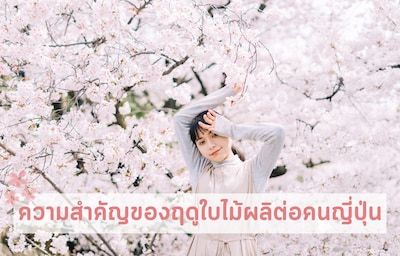 ทำไมฤดูใบไม้ผลิถึงสำคัญต่อคนญี่ปุ่นกันนะ