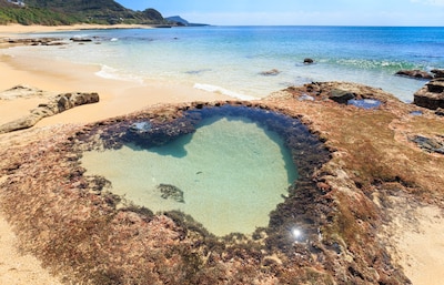 【日本鹿兒島】世界遺產名錄新成員！奄美大島玩法速遞！