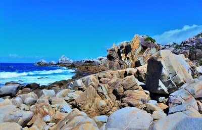 【日本鹿兒島】來海島上鬥個牛？玩轉世界遺產名錄新成員「德之島」