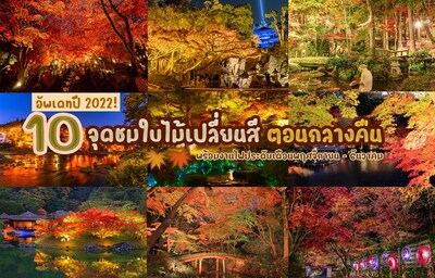 อัพเดทปี 2022! 10 จุดชมใบไม้เปลี่ยนสี พร้อมชมไฟประดับตอนกลางคืนในญี่ปุ่น