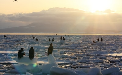 Why You Must Go to Japan’s 5 Natural Heritage Sites