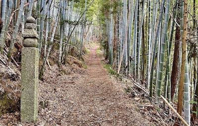 The Road to Koyasan: A One-Day Pilgrimage with Kobo Daishi