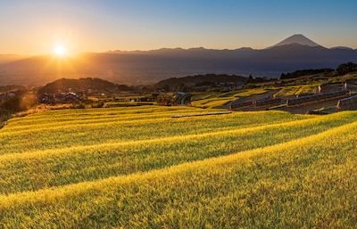 Sustainable Agriculture in Japan