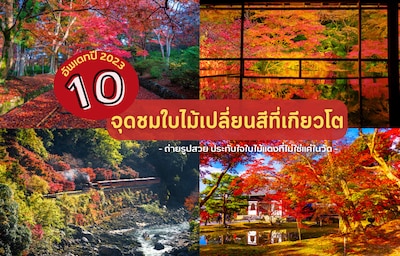 ห้ามพลาด! จุดชมใบไม้เปลี่ยนสี ถ่ายรูปสวย ในเกียวโต 10 จุด