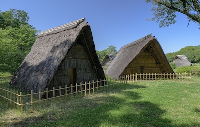 From Ancient Ruins to 20th Century Homes: Five Historical Parks in Japan