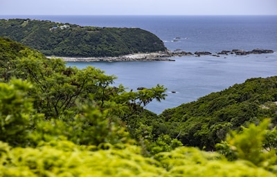 Japan’s Stunning Coastal Pilgrimage: The Kumano Kodo's Ohechi Trail