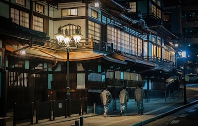 Matsuyama Treasures: Historical Hot Springs and a Mountaintop Castle