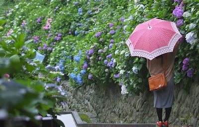 比晴天更美？日本当地人私藏的梅雨小众景点清单