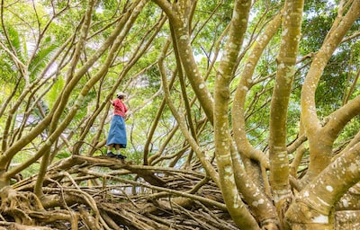 GO WILD TOKYO 4/ 小笠原、海だけじゃない“もうひとつ”のアドベンチャー
